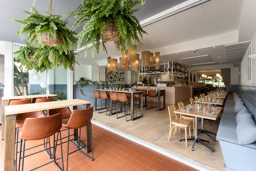Click to view all images 29-31 Alfreda Street Coogee NSW 2034 - Image 3