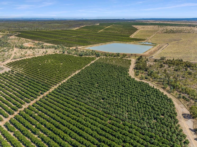 Click to view all images Emerald QLD 4720 - Image 1