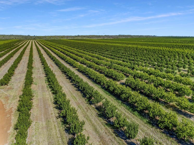 Click to view all images Emerald QLD 4720 - Image 3