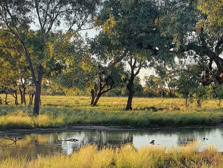Tarwoona Downs, 1906 Burrawantie Road Enngonia NSW 2840 - Image 2