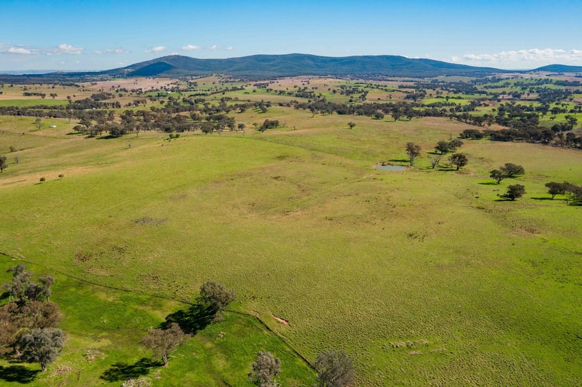 Click to view all images Cootamundra NSW 2590 - Image 2