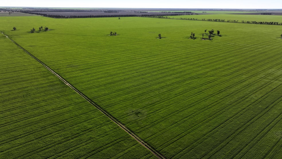 Click to view all images Terlings Newell Highway Moree NSW 2400 - Image 3