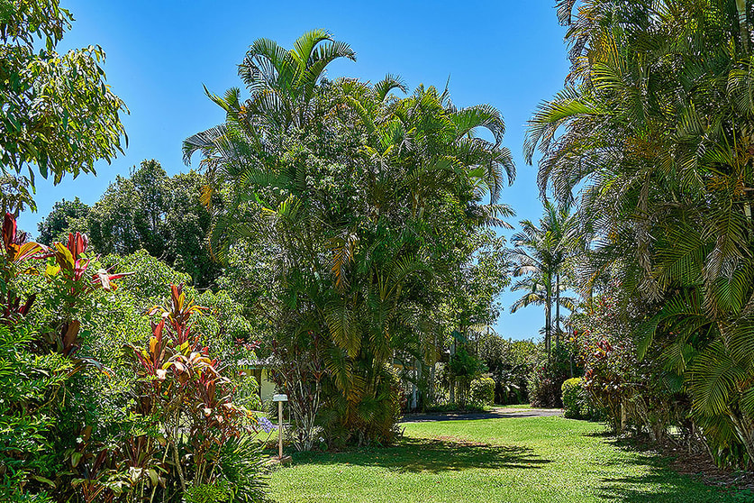 Click to view all images Atherton QLD 4883 - Image 2