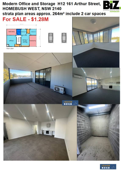 161 ARTHUR STREET Homebush West NSW 2140 - Image 3