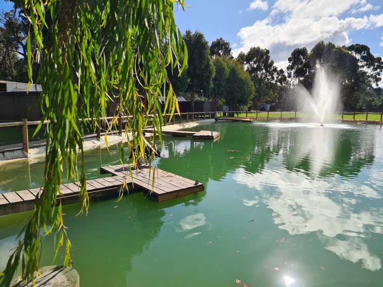Click to view all images 9844 Vasse Hwy Peerabeelup WA 6260 - Image 3