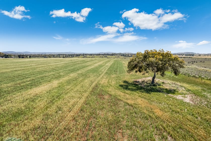 Click to view all images 864 Holden Road Diggers Rest VIC 3427 - Image 3