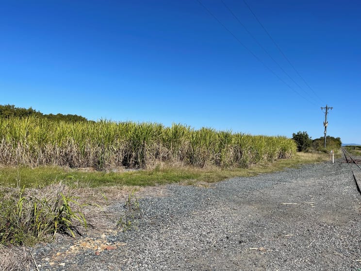 Lot 7 Pioneer Street Glenella QLD 4740 - Image 3