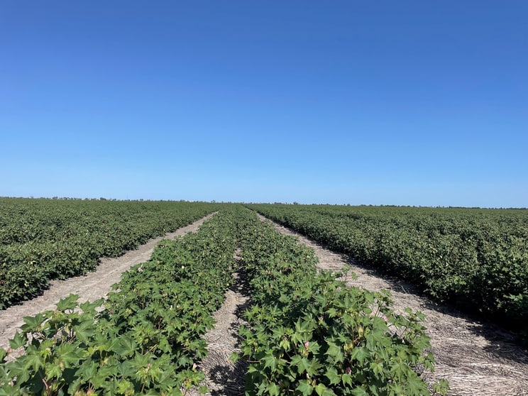 Click to view all images Goondiwindi QLD 4390 - Image 2