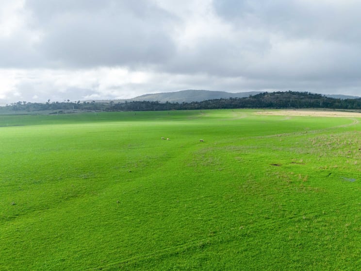 Click to view all images Evandale TAS 7212 - Image 3