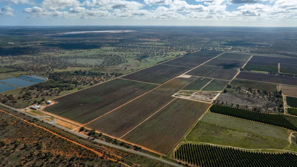 Click to view all images 216 Hollands Lake Road Coomealla NSW 2717 - Image 2
