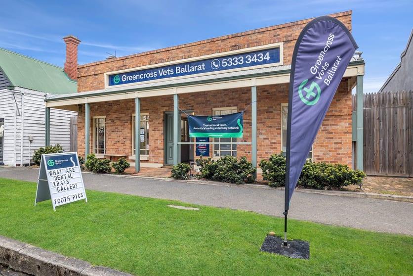 Click to view all images 48 Victoria Street Ballarat East VIC 3350 - Image 1