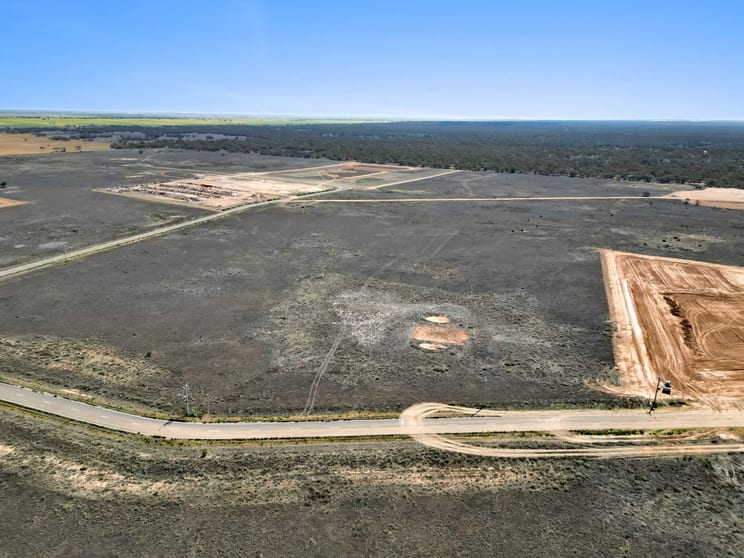 Click to view all images 21 Beasley Drive Koorlong VIC 3501 - Image 3