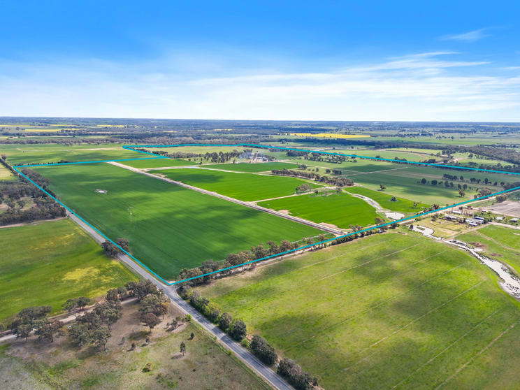 Pinewood, 870 Walshs Bridge Road Kaarimba VIC 3635 - Image 3