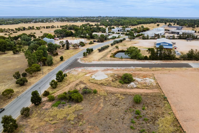 17 Driscoll Road Narrandera NSW 2700 - Image 3