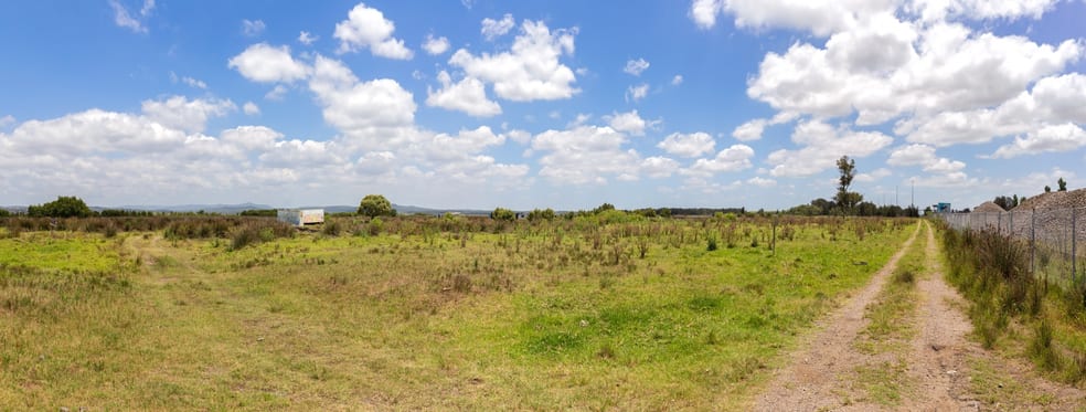 Click to view all images 69 Maitland Road Hexham NSW 2322 - Image 3