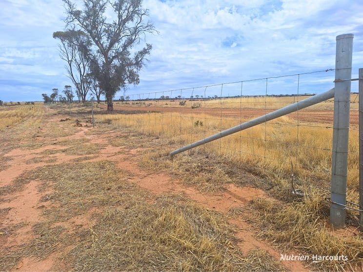 . Dowdings Kellerberrin WA 6410 - Image 3