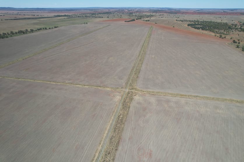 Click to view all images 14787 Lachlan Valley Way Kiacatoo NSW 2877 - Image 3