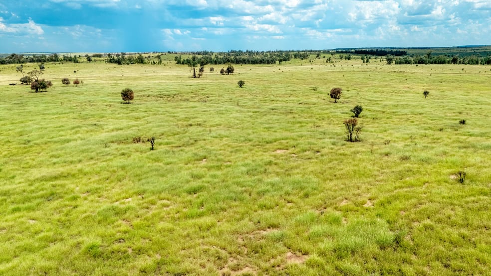 Click to view all images 10077 Hoganthulla Road Mungallala QLD 4467 - Image 1
