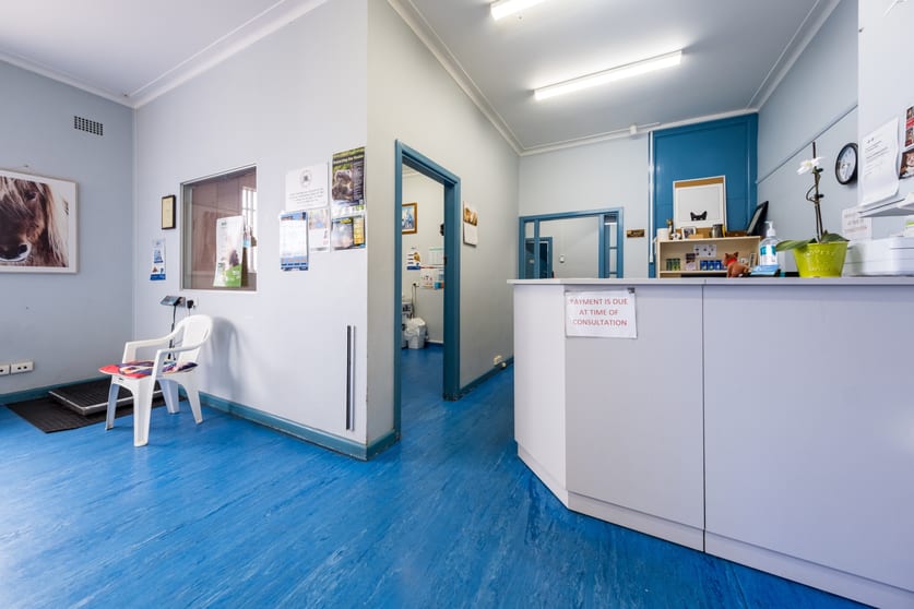 Click to view all images 119 Jessie Street Armidale NSW 2350 - Image 3