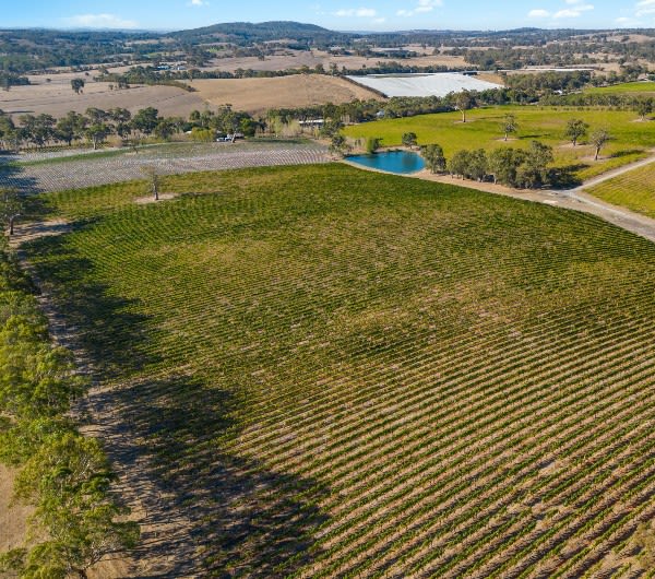 Click to view all images 160 Newman Road Charleston SA 5244 - Image 3