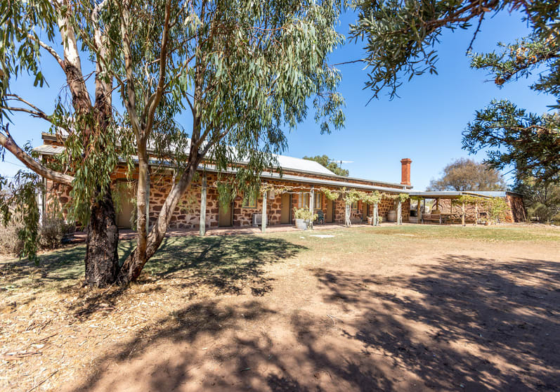 Click to view all images Hummocks Station/45 Barunga Homestead Rd Snowtown SA 5520 - Image 3