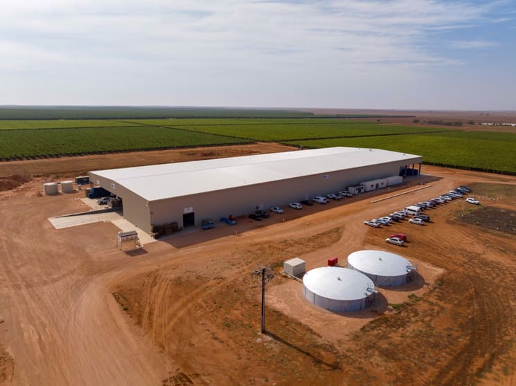 Click to view all images Talia Farms 1251 Stanitzki Road Pike River SA 5340 - Image 3