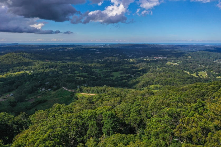 636 Palmwoods-Montville Road Montville QLD 4560 - Image 1