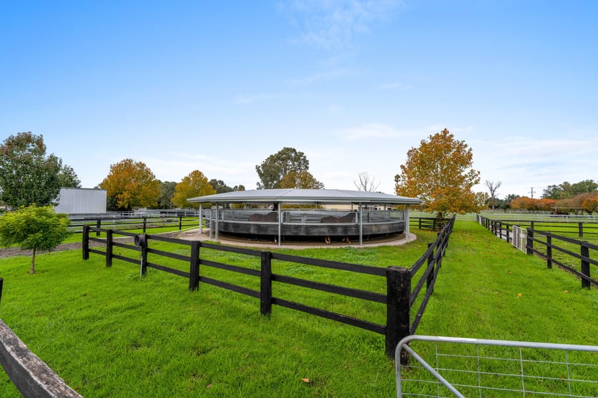 Click to view all images 1-7 St Aubins Street Scone NSW 2337 - Image 2