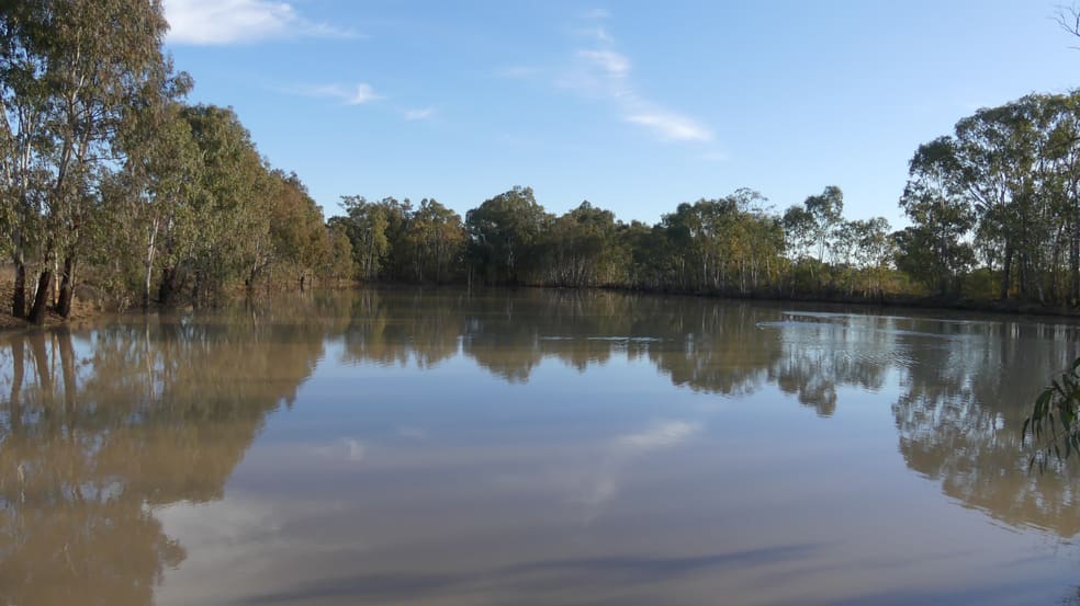 Warren NSW 2824 - Image 2
