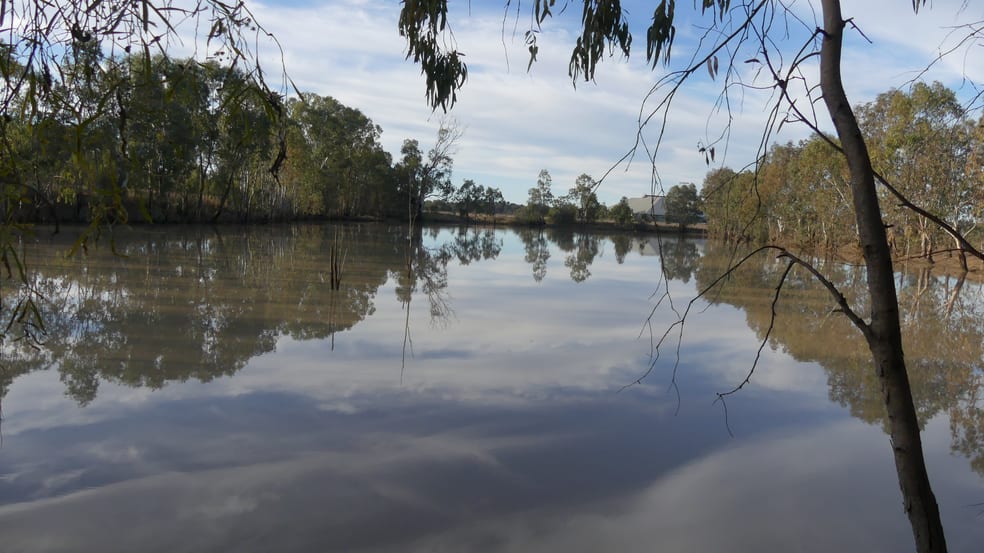 Warren NSW 2824 - Image 3