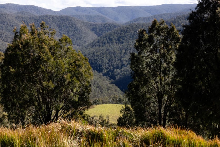 Click to view all images 214 Eaglehawk Trail Yarrowitch NSW 2354 - Image 1