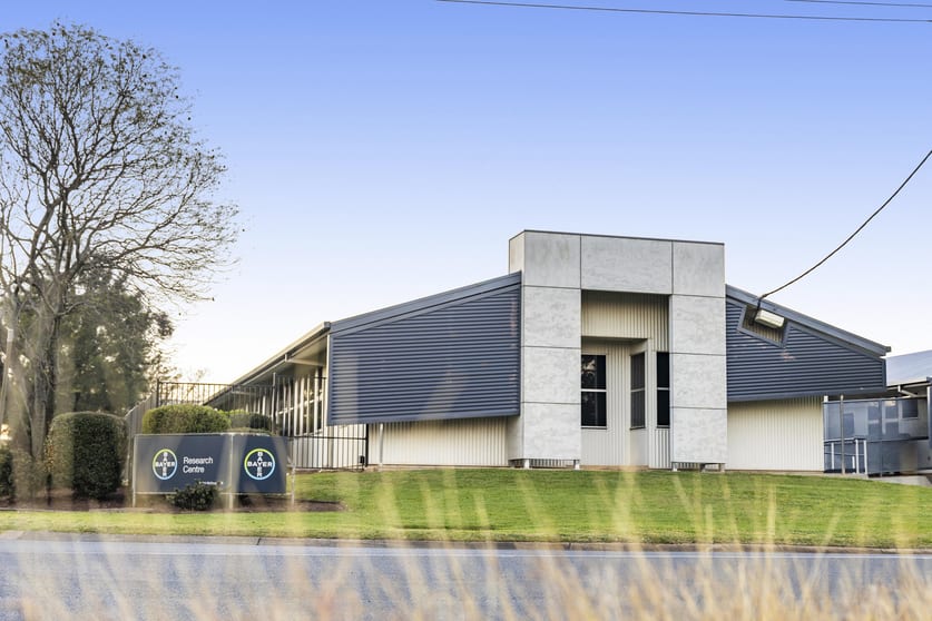 Click to view all images 212 McDougall Street Wilsonton QLD 4350 - Image 3