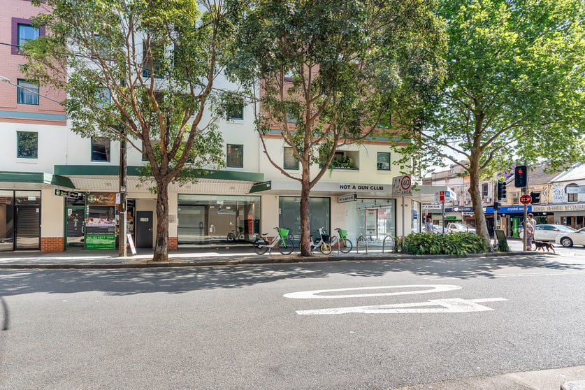 3 Georgina Street Newtown NSW 2042 - Image 1