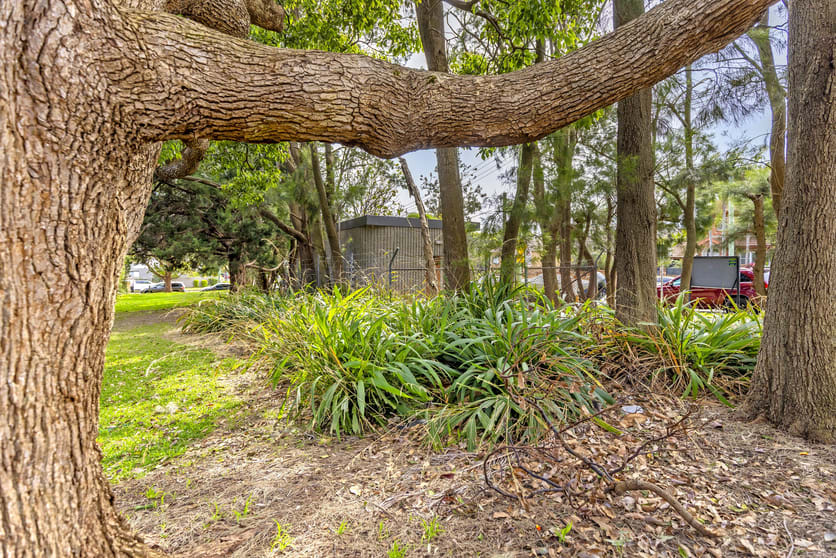 Click to view all images 66 Griffin Road North Curl Curl NSW 2099 - Image 1