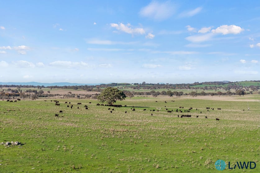 Click to view all images 1830 Wargeila Road Yass NSW 2582 - Image 2