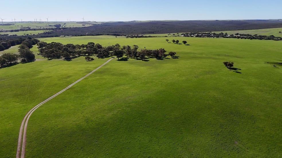 Click to view all images Badgingarra WA 6521 - Image 3
