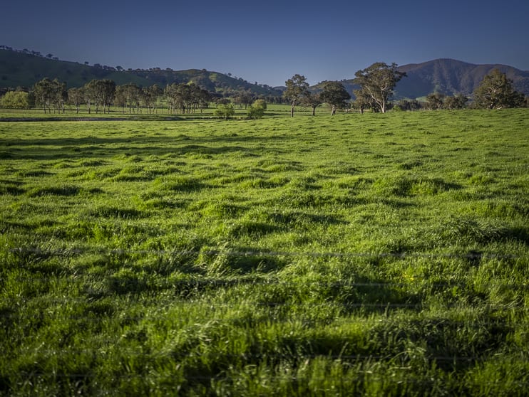 Click to view all images 3091 Shelley Road Walwa VIC 3709 - Image 2