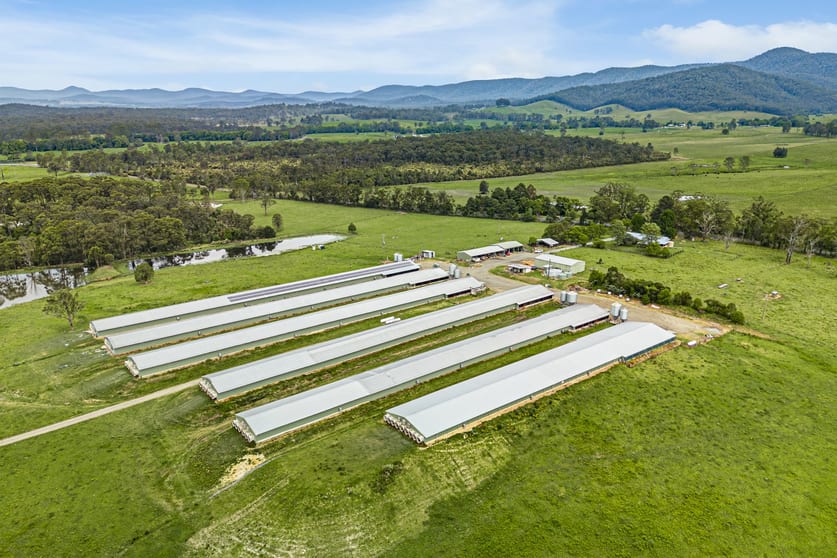 Click to view all images 438 Markwell Road Bulahdelah NSW 2423 - Image 3