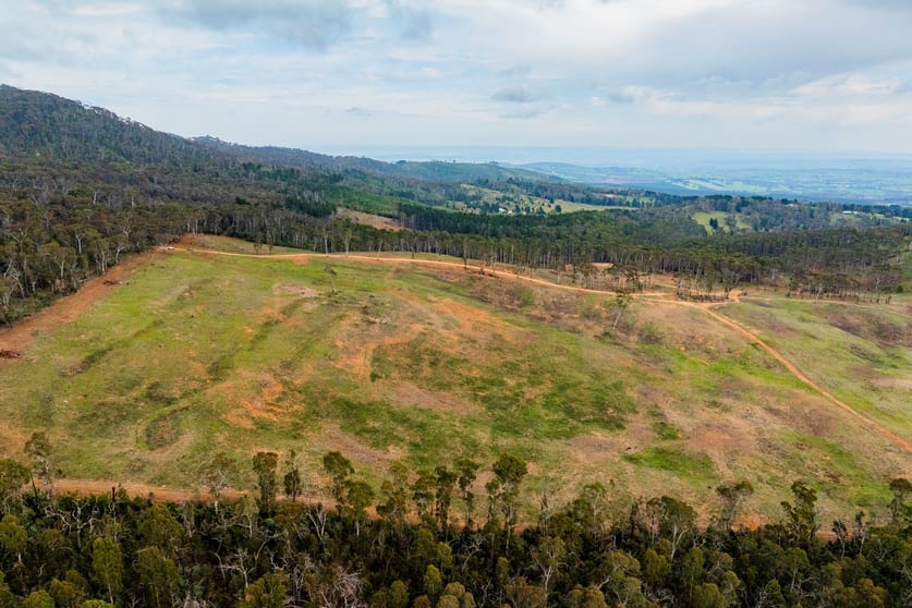 1606 Mount Canobolas Road, Orange NSW Orange NSW 2800 - Image 2
