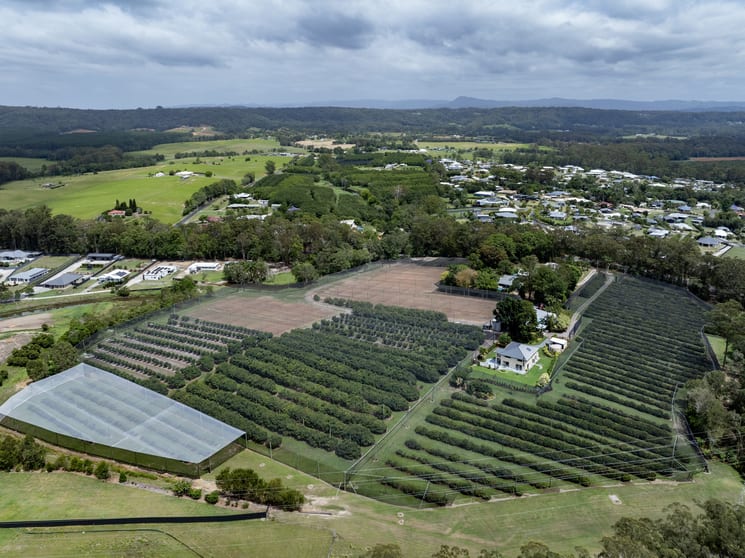 Click to view all images 2598 Old Gympie Road Beerwah QLD 4519 - Image 1
