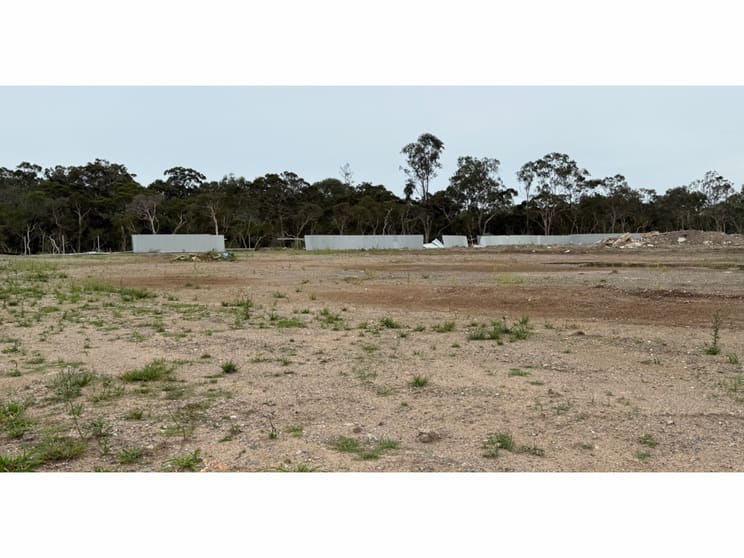 Click to view all images 85 King Avenue Willawong QLD 4110 - Image 2