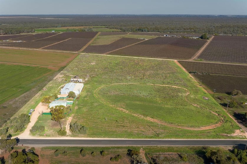 Click to view all images 693 Thiele Road Loveday SA 5345 - Image 1