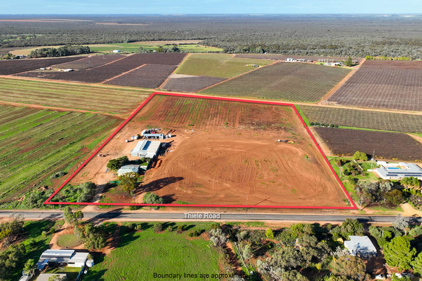 Click to view all images 693 Thiele Road Loveday SA 5345 - Image 2
