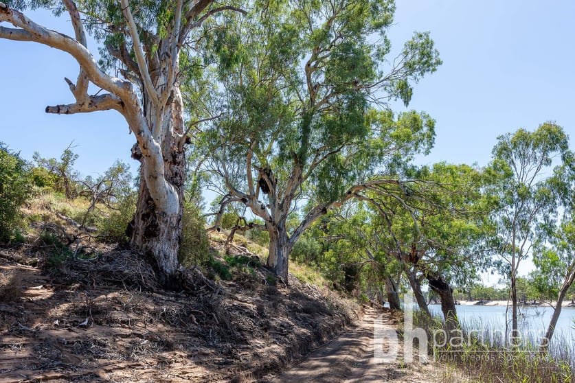 Click to view all images 247 Markaranka Road Taylorville SA 5330 - Image 3