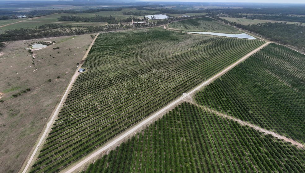 Click to view all images Bucca QLD 4670 - Image 3