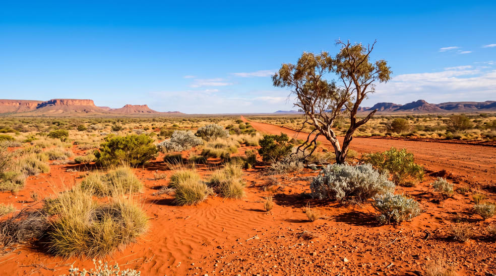 Click to view all images Cameron Corner QLD 4492 - Image 1