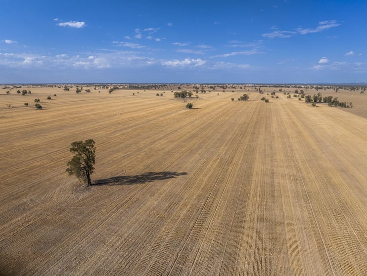 Click to view all images 279 West Plains Road Corinella NSW 2871 - Image 1