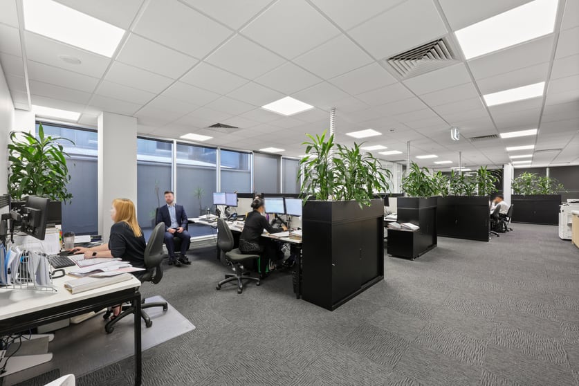Click to view all images 19 Shierlaw Avenue Canterbury VIC 3126 - Image 3