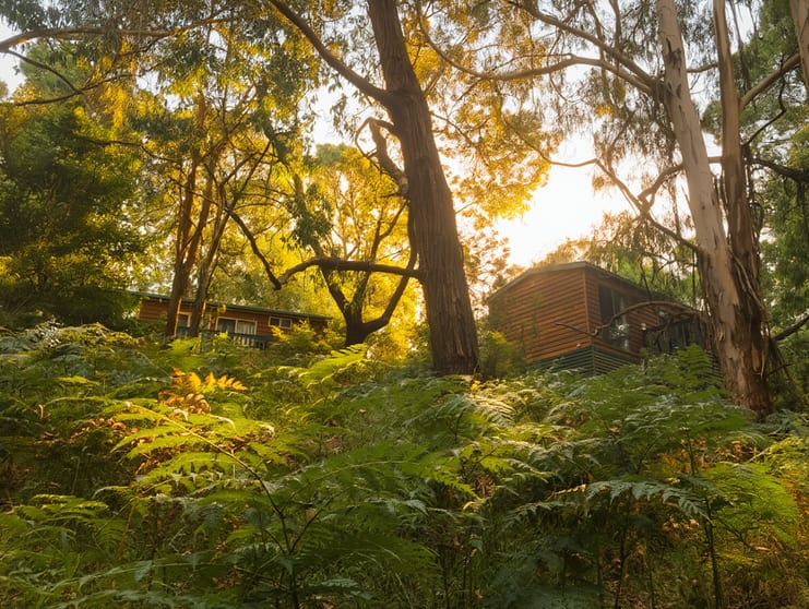 Click to view all images 65 Pennyroyal Station Road Pennyroyal VIC 3235 - Image 1