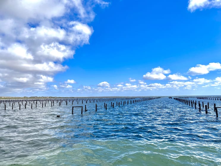 49A Thiselton Way Denial Bay SA 5690 - Image 3